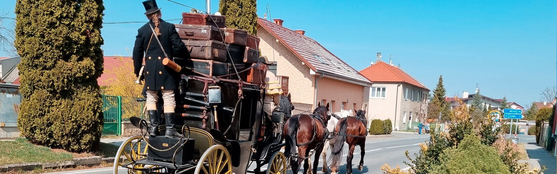 Vojsko bitva u Slavkova koně